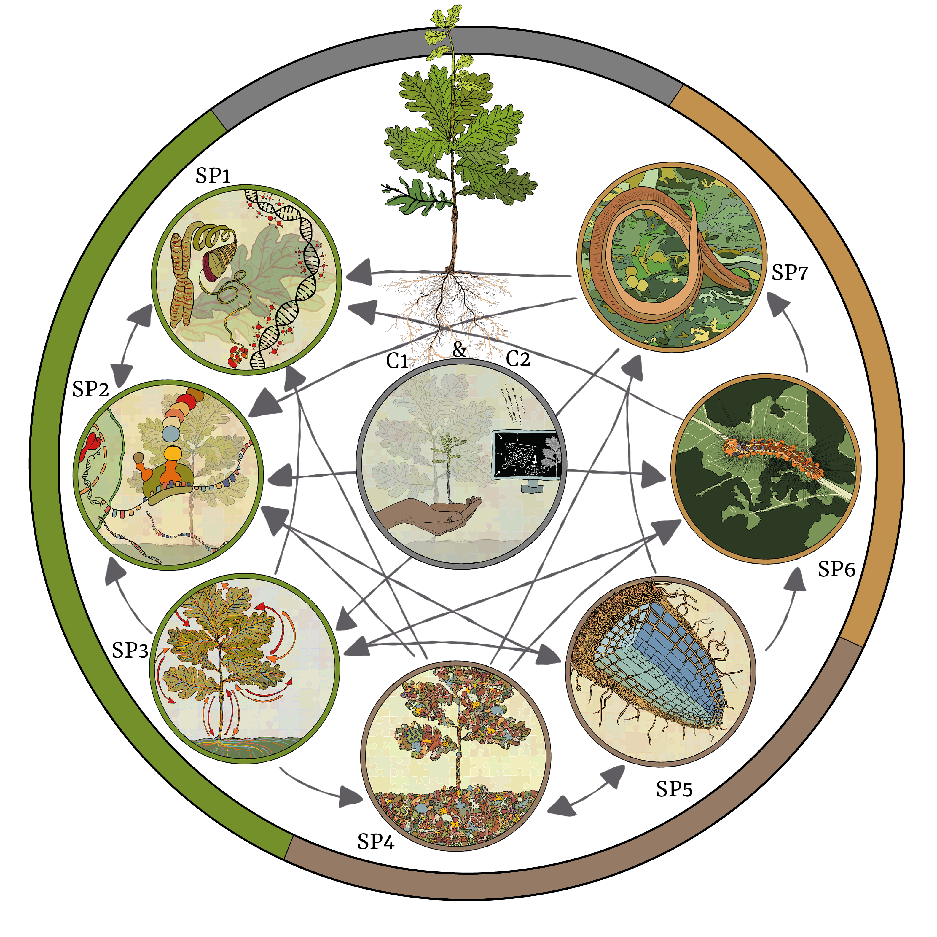 PhytOakMeter_Kreis_273dpi.png